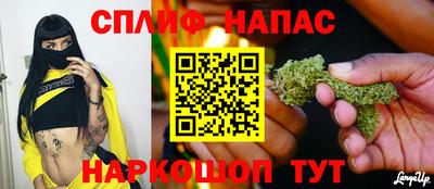 гидропоника Будённовск