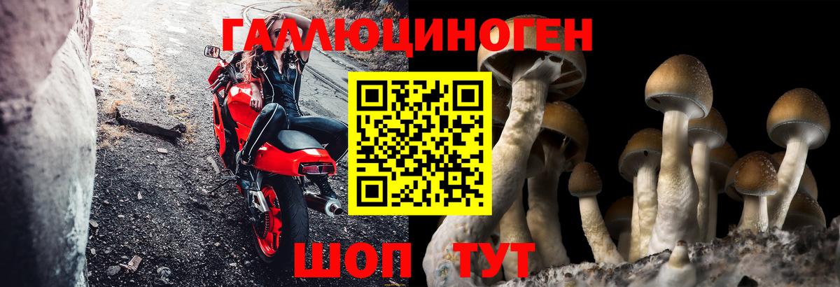 Галлюциногенные грибы ЛСД  Псилоцибиновые грибы Magic Shrooms  Ленинск-Кузнецкий  Вход с VPN 